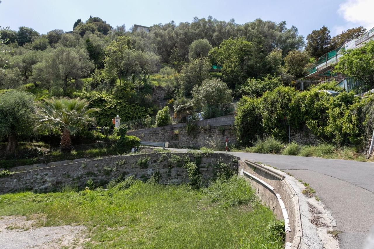 Strada Degli Olandesi - Panoramic Villa By Halldis Camporosso  Exteriör bild
